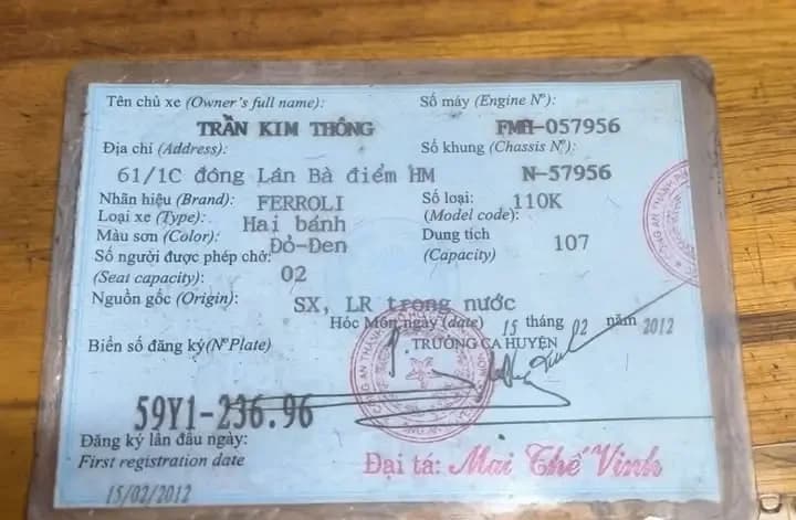 Tìm chủ cho Cà Vẹt Xe Tại Đường Thống Nhất, An Hội Đông