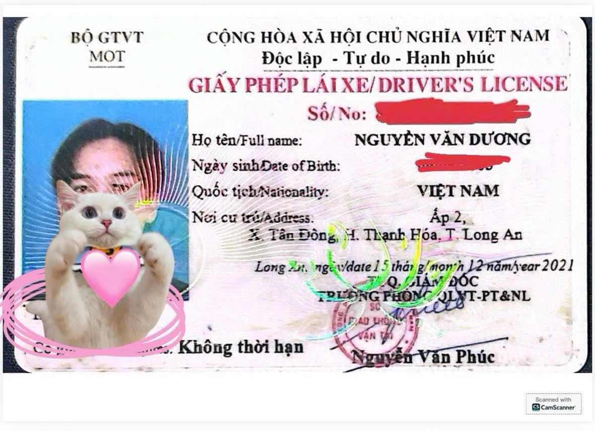 Nguyễn Văn Dương 2003 Long an