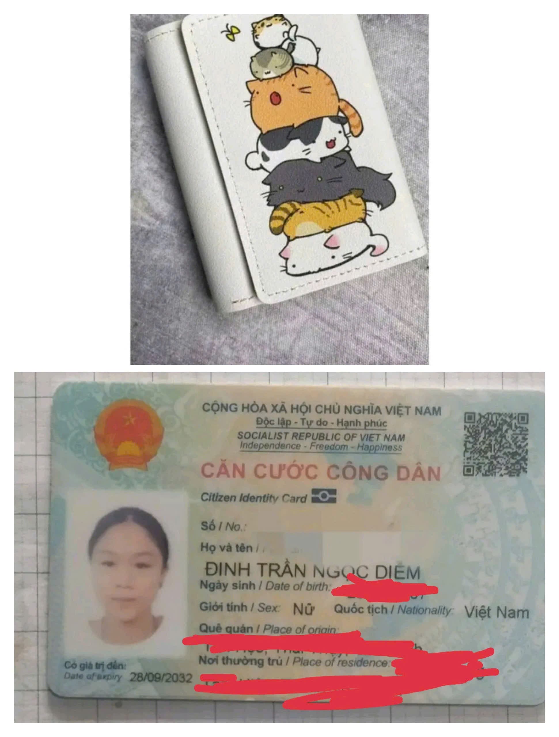 Rơi ví/ giấy tờ tùy thân Đinh Trần Ngọc Diễm rơi ở HNoi 