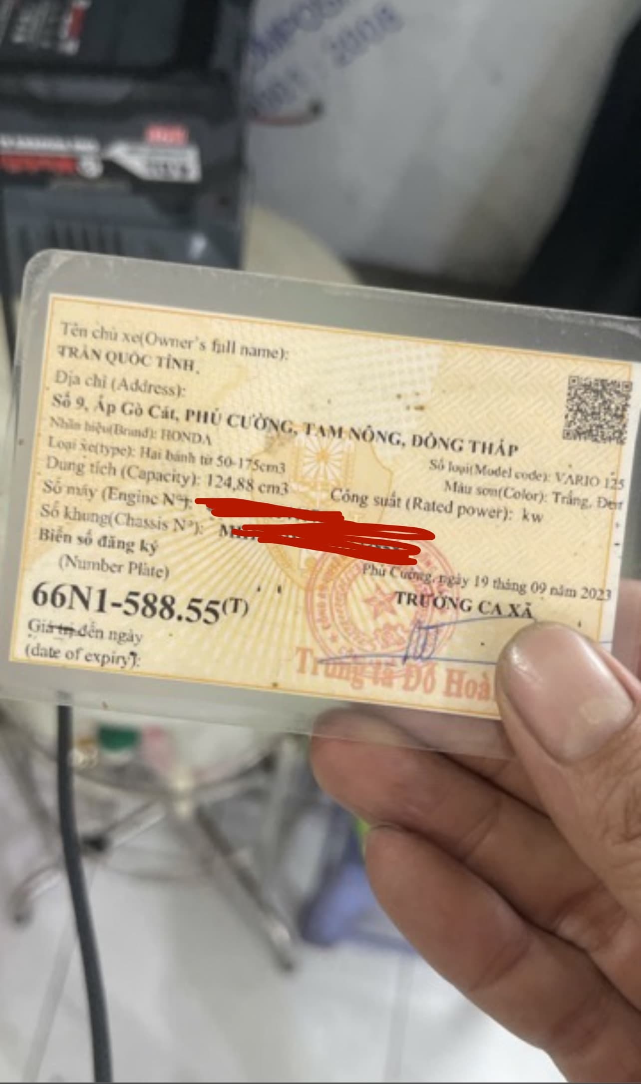 cà vẹt xe máy