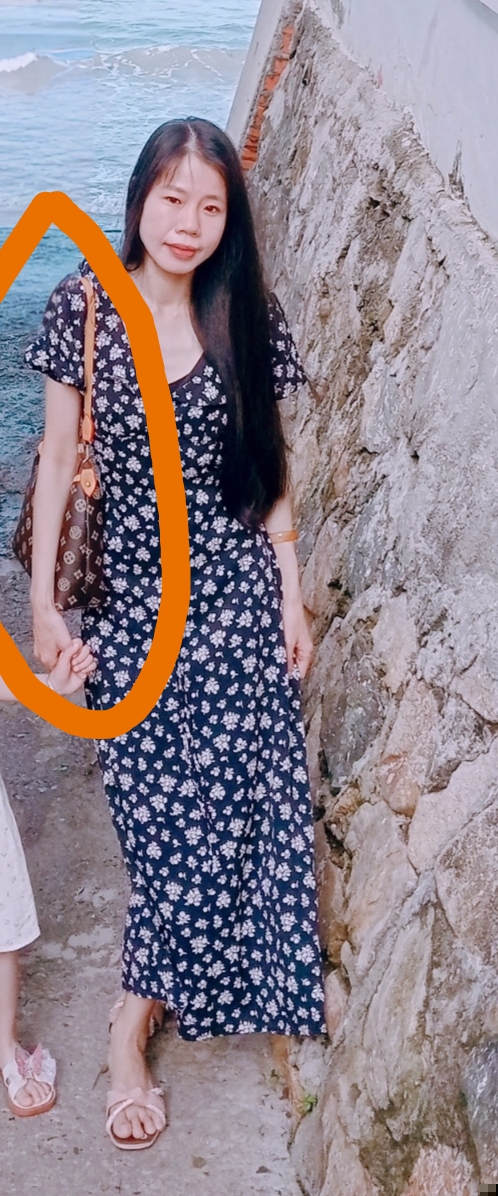 Tôi có làm mất 1 chiếc túi xách màu nâu, quai vàng ở bụi hoa giấy bãi trước biển Vũng Tàu, 
