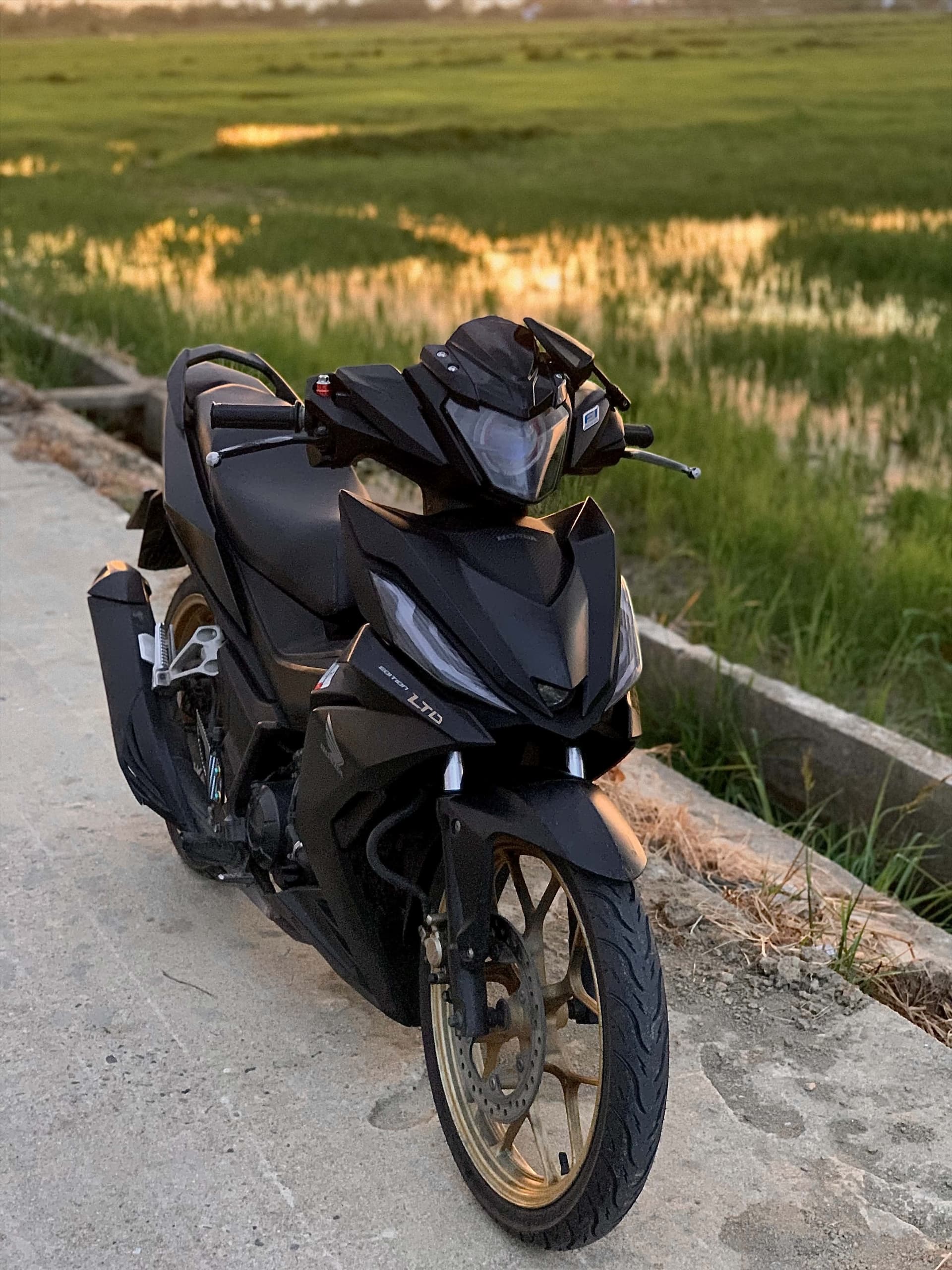 WINNER đen vàng biển 73D1-214.02 