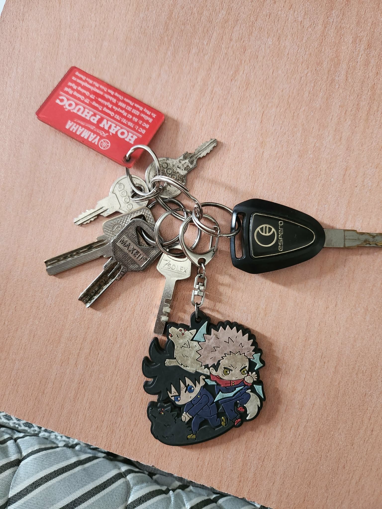 Rơi chùm chìa khóa và ví đựng thẻ, tên LNNM 2007 rơi ở gò vấp HCM