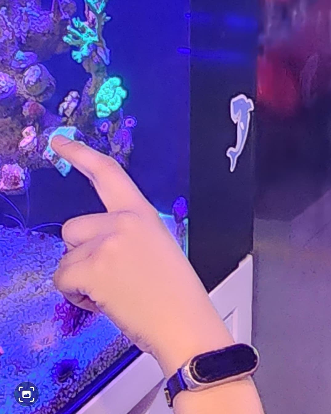 Tìm đồng hồ cảm ứng